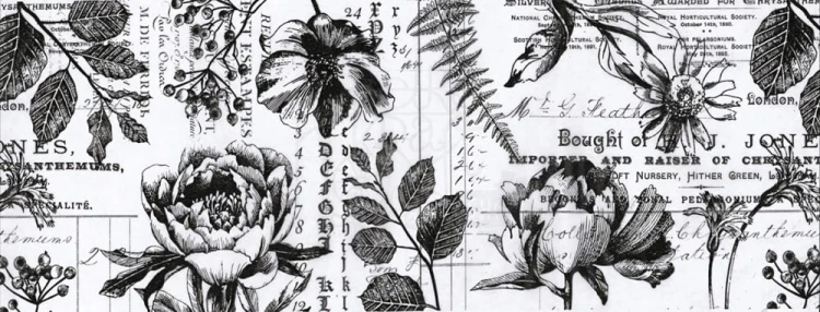 Idea-Ology Collage Paper Botanical 15cmx5.5m TH93705 Tim Holtz