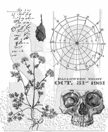 Stempel gumowy kauczukowy Cling Stamp Obscurity CMS471 Tim Holtz Stampers Anonymous