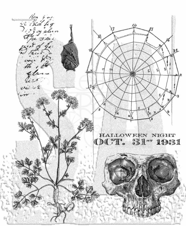 Stempel gumowy kauczukowy Cling Stamp Obscurity CMS471 Tim Holtz Stampers Anonymous