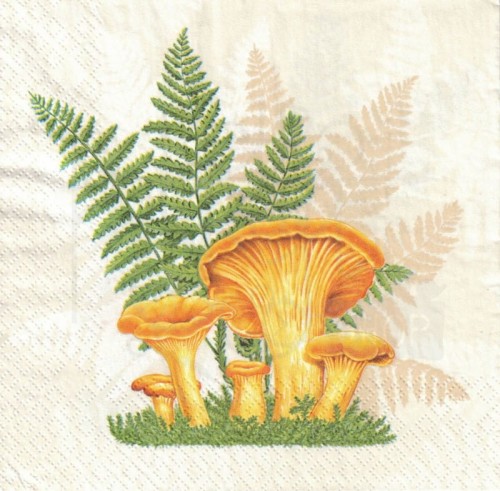 Serwetka 33x33 - Grzyby i paprocie