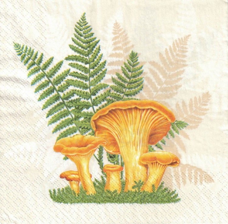 Serwetka 33x33 - Grzyby i paprocie