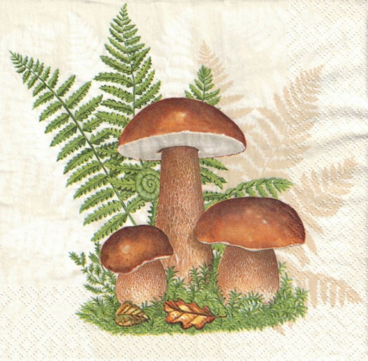 Serwetka 33x33 - Grzyby i paprocie