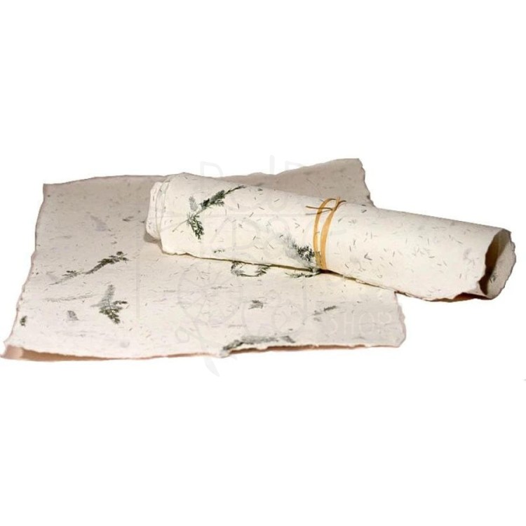 Papier czerpany A4 asparagus len