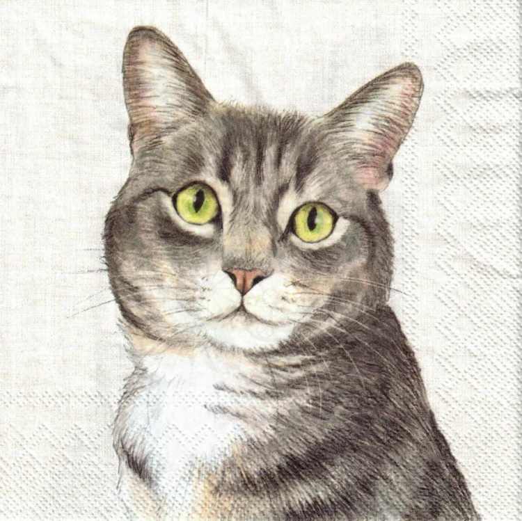 Serwetka 33x33 - Kot