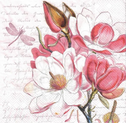 Serwetka 33x33 - Kwiat magnolii