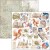 Zestaw papierów 15x15 Wizard Academy 24szt CBQE071 Ciao Bella
