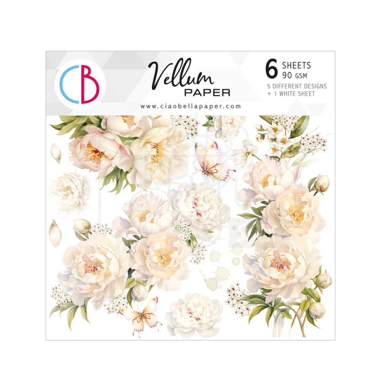 Zestaw papierów welinowych kalki 15x15cm Always &amp; Forever 6 szt. CBVQ014 Ciao Bella