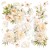 Zestaw papierów welinowych kalki 15x15cm Always &amp; Forever 6 szt. CBVQ014 Ciao Bella