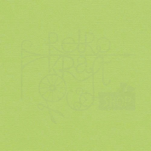 Arkusz papieru karton 30x30 z teksturą - Pistachio Scrapberry’s
