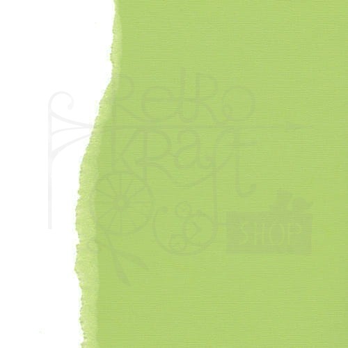 Arkusz papieru karton 30x30 z teksturą - Pistachio Scrapberry’s
