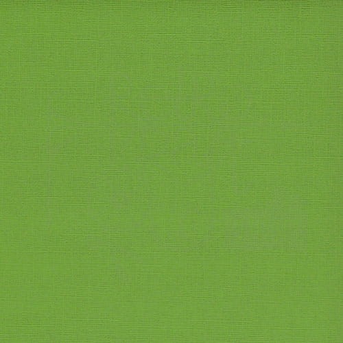 Arkusz papieru karton 30x30 z teksturą - Fern Scrapberry’s