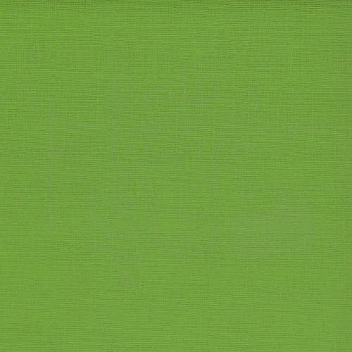 Arkusz papieru karton 30x30 z teksturą - Fern Scrapberry’s