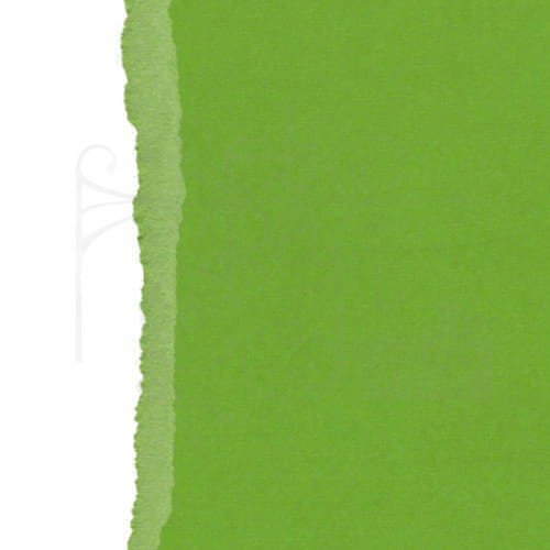 Arkusz papieru karton 30x30 z teksturą - Fern Scrapberry’s