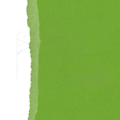 Arkusz papieru karton 30x30 z teksturą - Fern Scrapberry’s