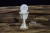 Tekturka Holy Communion - Kielich 3D z Hostią 24421 SnipArt