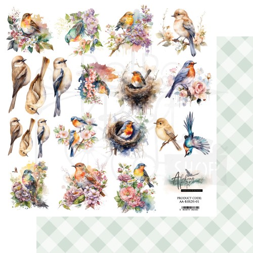 Papier do scrapbookingu 30x30 elementy do wycinania Soul of Spring Ptaki AA-BIRD-01 Alchemy of Art