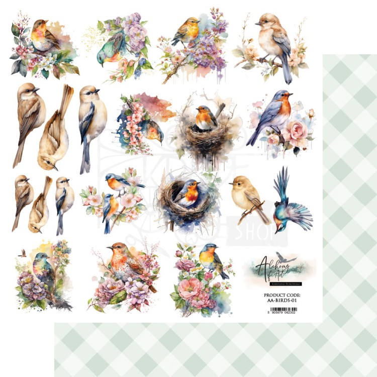 Papier do scrapbookingu 30x30 elementy do wycinania Soul of Spring Ptaki AA-BIRD-01 Alchemy of Art