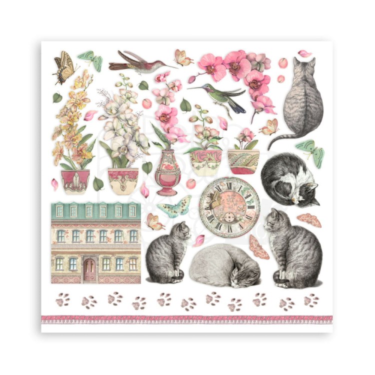 Zestaw papierów do scrapbookingu 20x20 Orchids &amp; Cats SBBS26 Stamperia