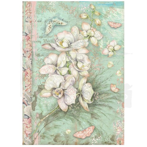 Papier ryżowy A4 Orchids &amp; Cats Okrągłe dekory DFSA4849 Stamperia