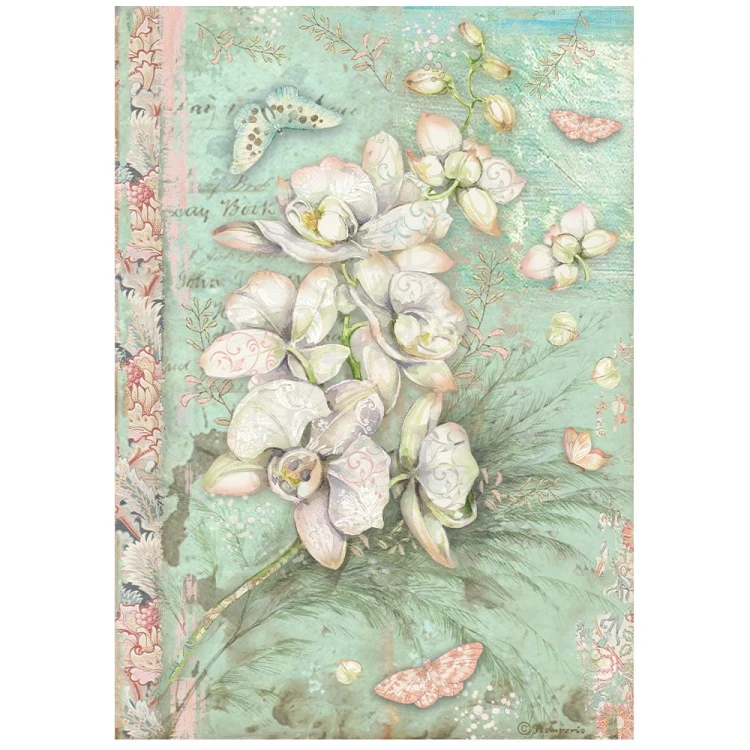 Papier ryżowy A4 Orchids &amp; Cats Okrągłe dekory DFSA4849 Stamperia