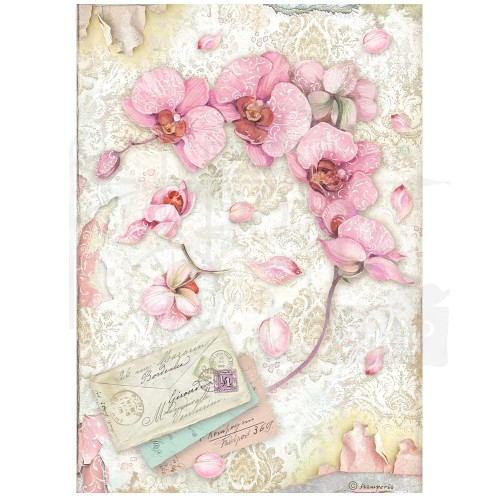 Papier ryżowy A4 Orchids &amp; Cats Różowa orchidea DFSA4847 Stamperia
