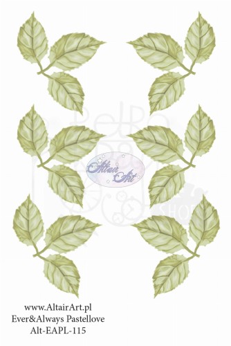 Pasek 5x15 Ever &amp; Always PastelLove - listki Alt-EAPL-115 AltairArt