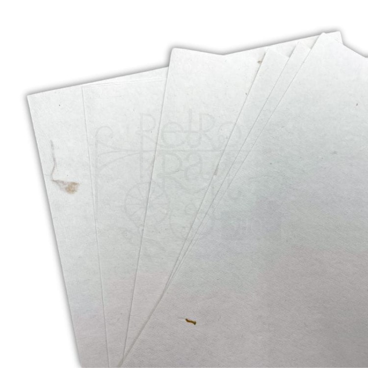 Papier czerpany A4 biały ze słonecznikiem 150