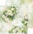 Zestaw papierów do scrapbookingu 30x30 A Day To Remember CC-C63-ADR-00 Craft O’Clock