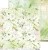 Zestaw papierów do scrapbookingu 30x30 A Day To Remember CC-C63-ADR-00 Craft O’Clock