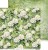 Zestaw papierów do scrapbookingu 30x30 A Day To Remember CC-C63-ADR-00 Craft O’Clock
