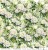 Zestaw papierów do scrapbookingu 30x30 A Day To Remember CC-C63-ADR-00 Craft O’Clock
