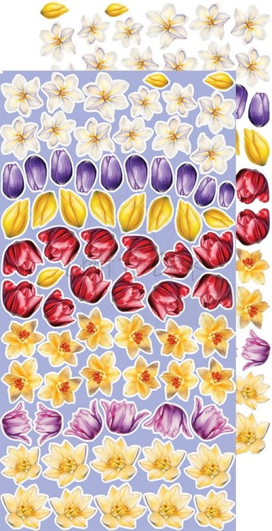 Zestaw dodatków 15x30 Tulip Love Flowers CC-C64-TL-11 Craft O’Clock
