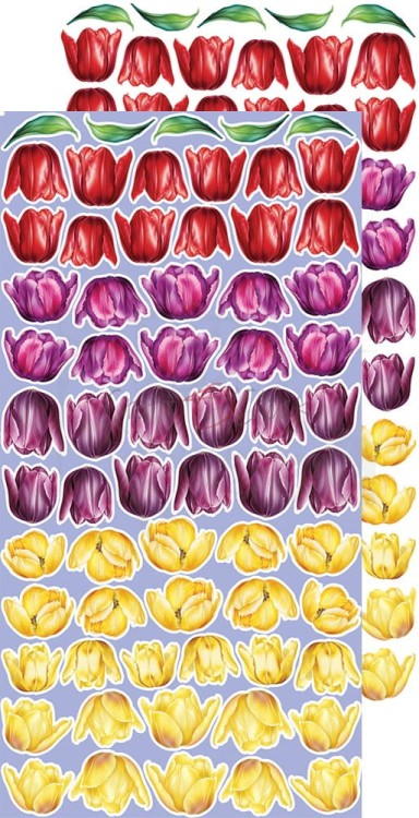 Zestaw dodatków 15x30 Tulip Love Mix CC-C64-TL-13 Craft O’Clock