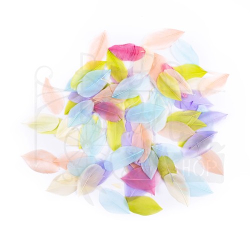 Pióra gęsie 6cm 5g pastel CEPI-113 dpCraft