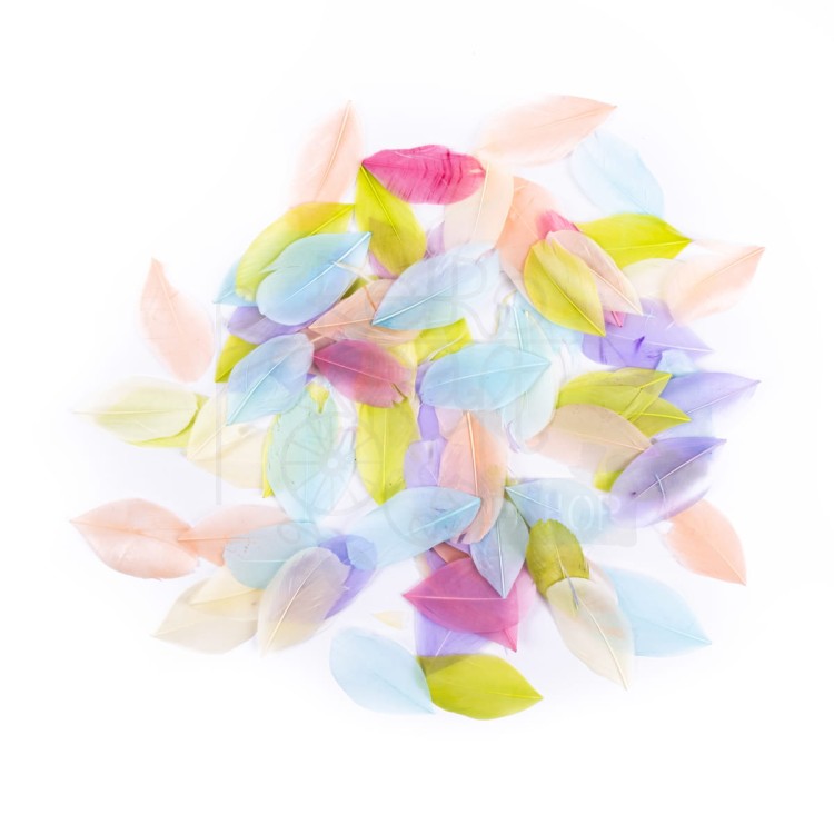 Pióra gęsie 6cm 5g pastel CEPI-113 dpCraft