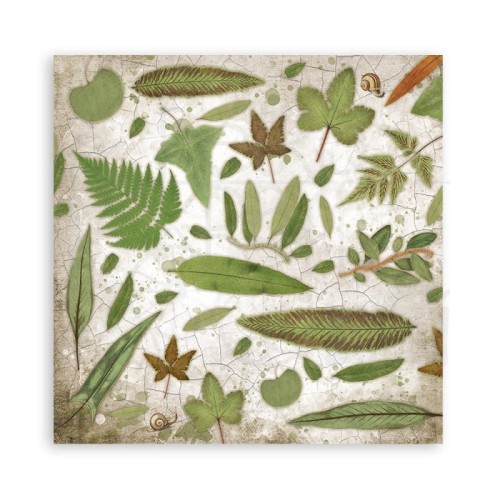 Zestaw papierów do scrapbookingu 20x20 Garden House SBBS54 Stamperia
