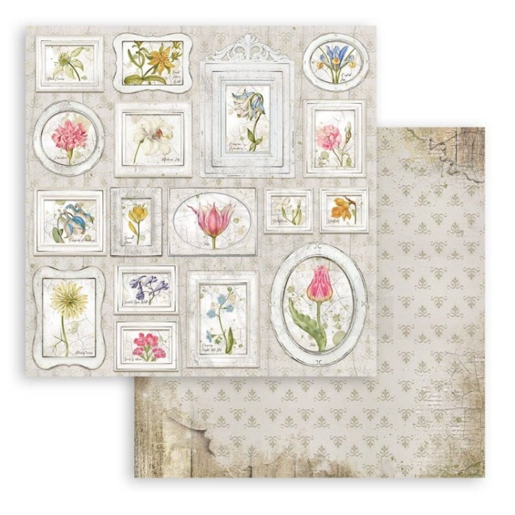 Zestaw papierów do scrapbookingu 20x20 Garden House SBBS54 Stamperia