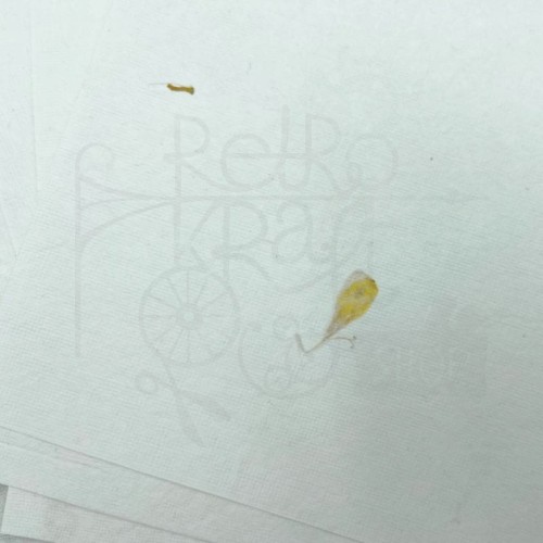 Papier czerpany A4 biały ze słonecznikiem 300g