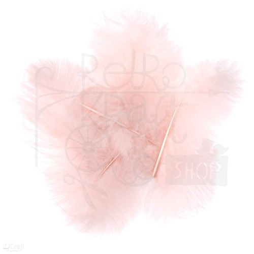 Pióra indycze 15cm 5szt nude CEPI-042 dpCraft