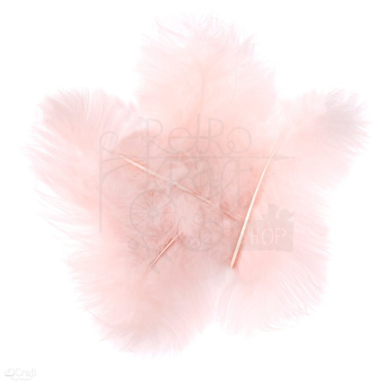 Pióra indycze 15cm 5szt nude CEPI-042 dpCraft