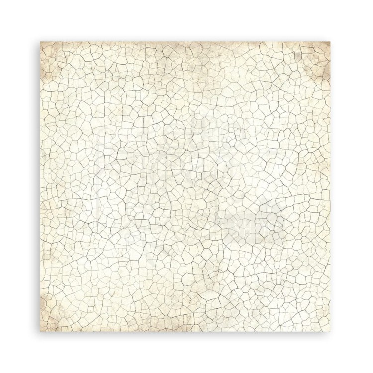 Zestaw papierów do scrapbookingu 20x20 Brocante Antiques Backgrounds Tła SBBS102 Stamperia