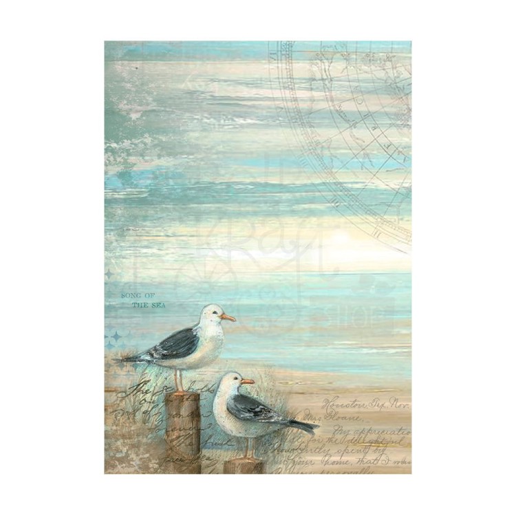 Papier ryżowy A6 Sea Land Backgrounds tła 8szt DFSAK6019 Stamperia