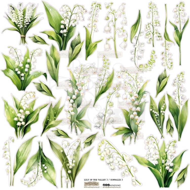 Naklejki do scrapbookingu i art journalingu Lily Of The Valley 3 Konwalie 3 ScrapLove