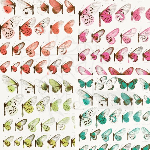 Zestaw papierów do scrapbookingu 30x30 Kaleidoscope KAL26955 49 and Market