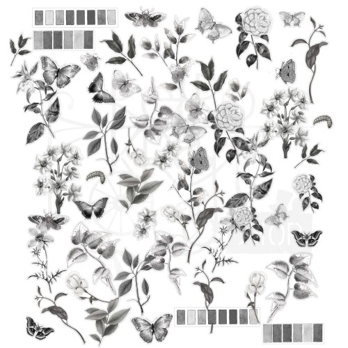 Ozdoby foliowe Color Swatch Charcoal Acetate Assortment 58szt CCS27495 49 and Market