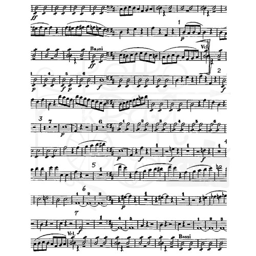 Stempel gumowy kauczukowy Darcie's Music Note SCMM25 Stampers Anonymous