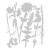 Wykrojnik Thinlits Vault Wildflowers by Tim Holtz 666565 Sizzix
