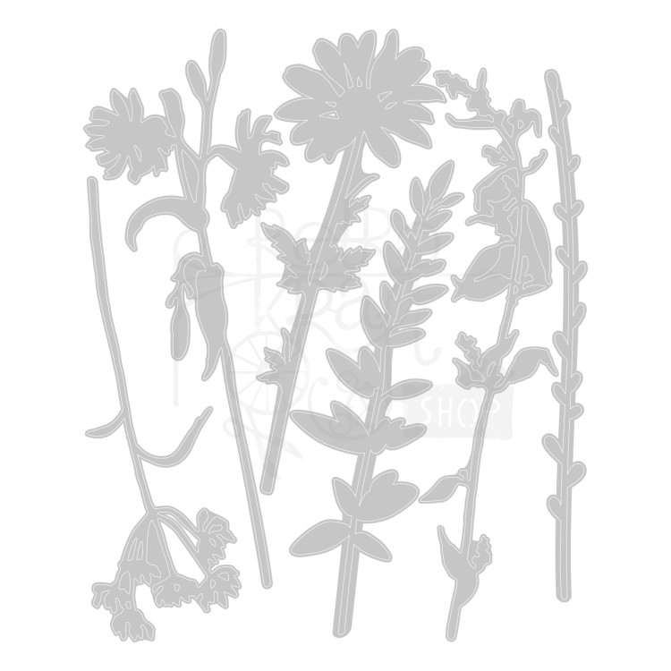Wykrojnik Thinlits Vault Wildflowers by Tim Holtz 666565 Sizzix