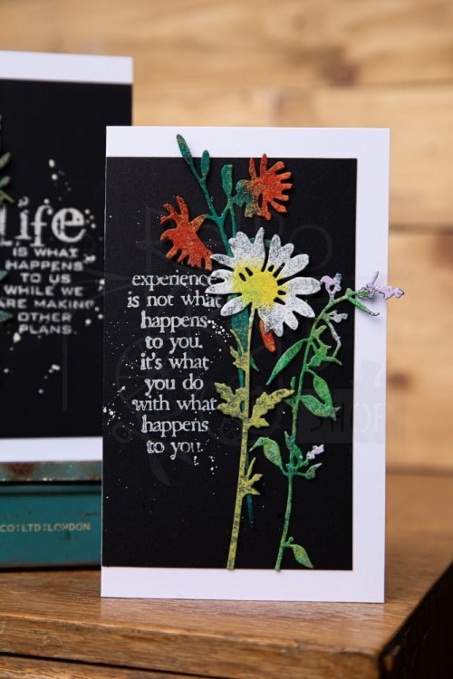 Wykrojnik Thinlits Vault Wildflowers by Tim Holtz 666565 Sizzix