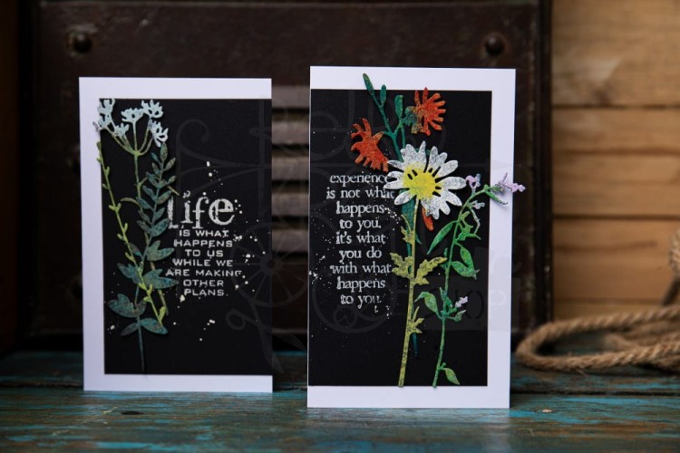 Wykrojnik Thinlits Vault Wildflowers by Tim Holtz 666565 Sizzix
